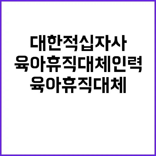 대한적십자사 비정규…