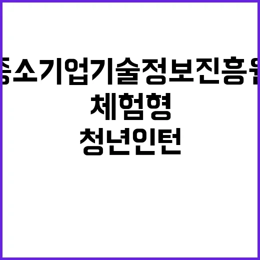 2024년 하반기 체험형 청년인턴 채용 공고