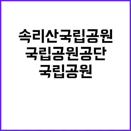 국립공원공단 비정규…