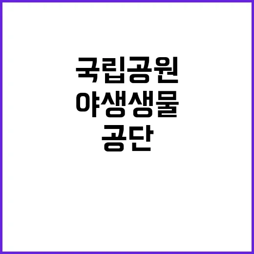 국립공원공단 무기계…