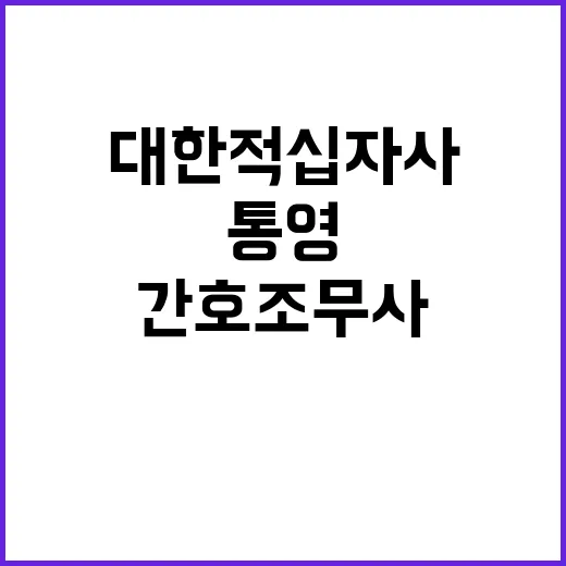 대한적십자사 정규직…