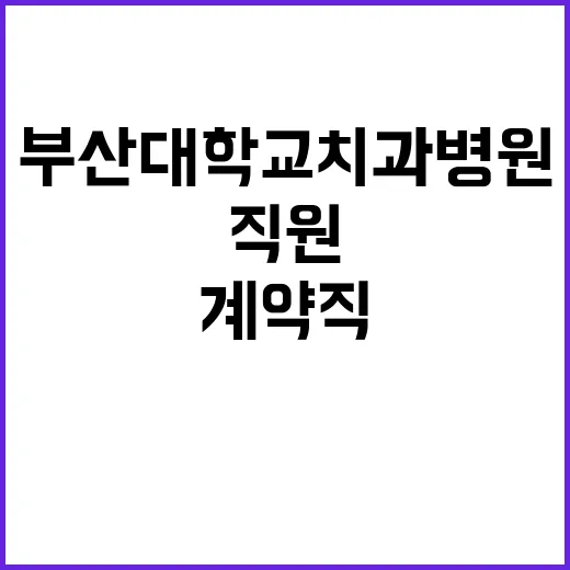 부산대학교치과병원 계약직(간호직) 직원 모집 공고