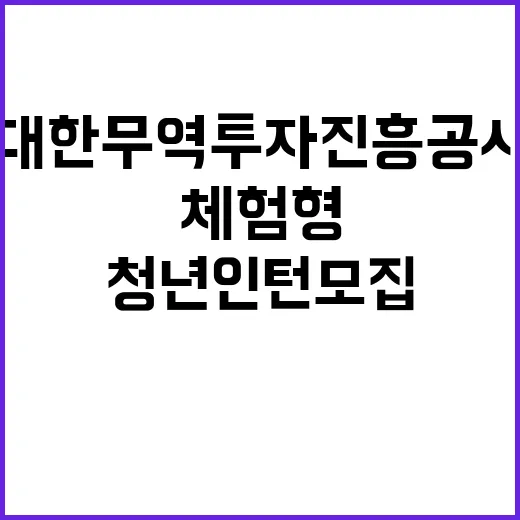 2024년 하반기 체험형 청년인턴(장애인 전형) 모집