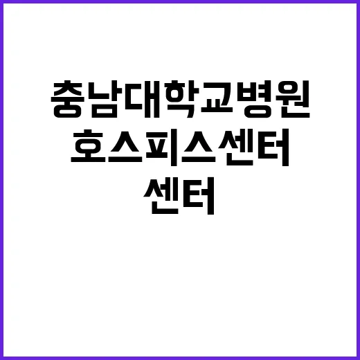 충남대학교병원 비정…