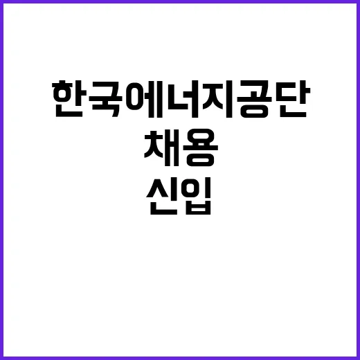 한국에너지공단 신입직원(일반, 고졸) 채용 공고