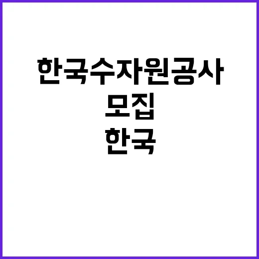 한국수자원공사 비정…