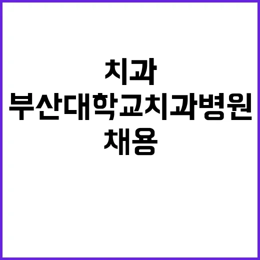 부산대학교치과병원 …