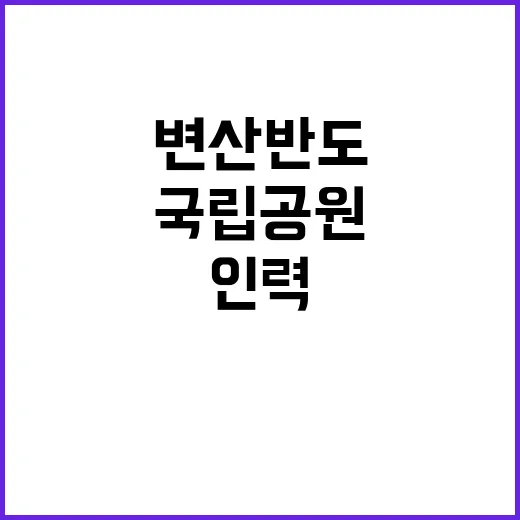 국립공원공단 비정규…