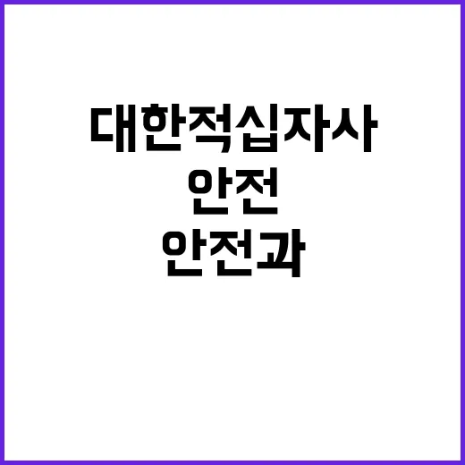 [대한적십자사 대전세종지사] 육아휴직 대체인력(간호사, 응급구조사 / 안전교육직무) 채용 공고