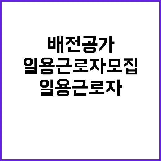 한전KDN 강원사업처 배전공가 시설내역조사 일용근로자 모집공고