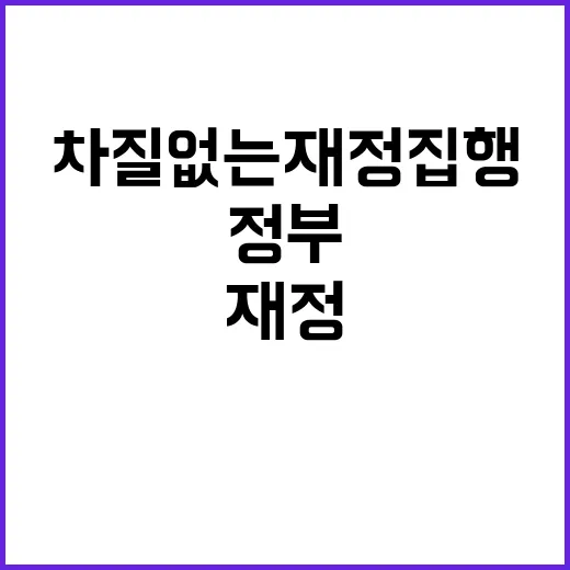 기금 정부의 차질 …