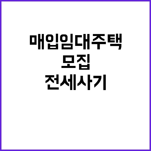 전세사기 없는 매입…