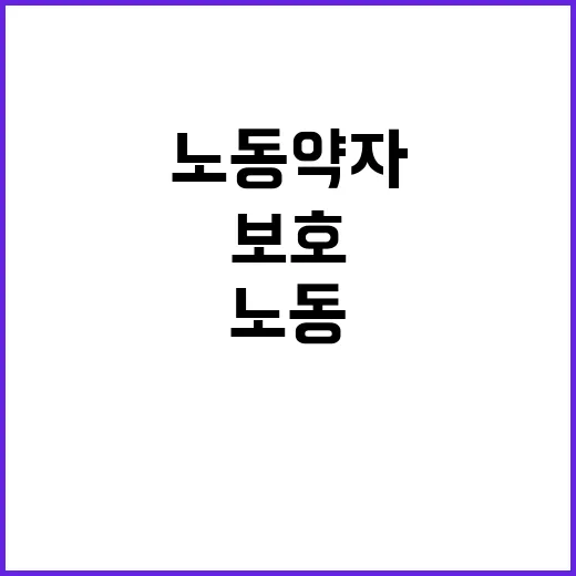 노동약자 새로운 법…