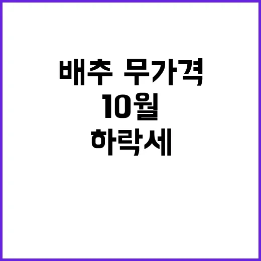 배추·무 가격 10…