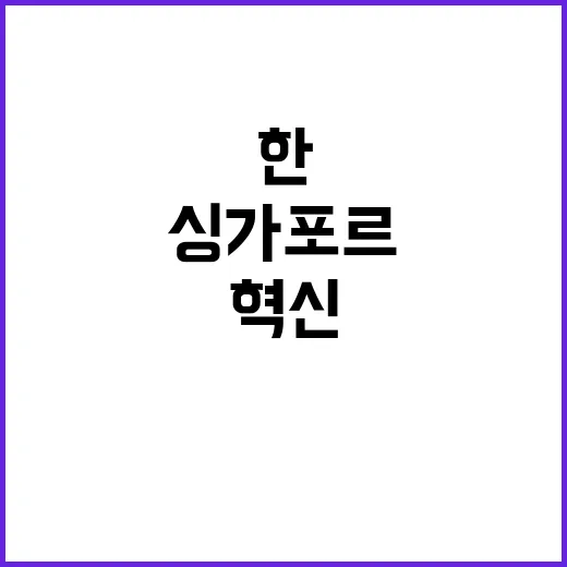 한싱가포르 미래 산…