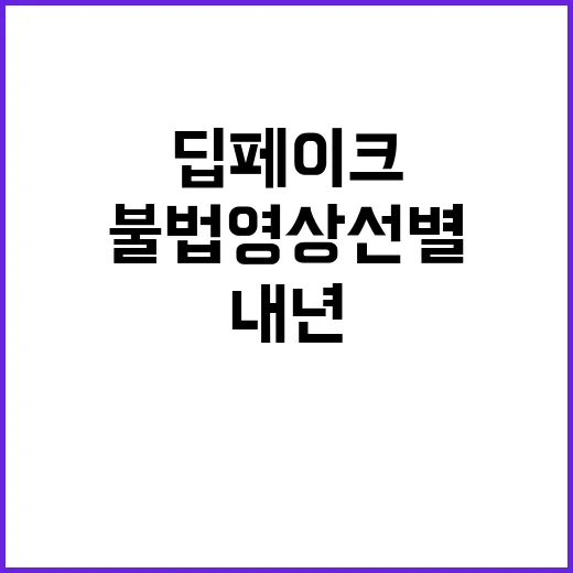 딥페이크 기술 불법…