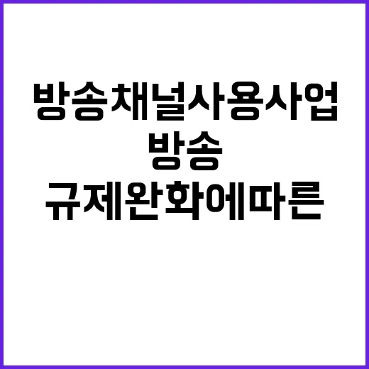 방송채널사용사업 진…