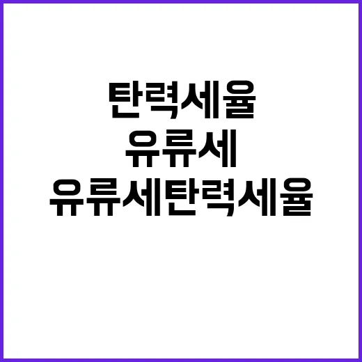 유류세 탄력세율 결…