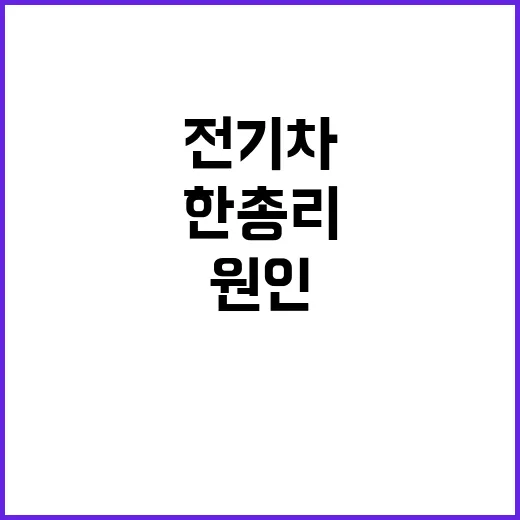 전기차 대책 한 총…