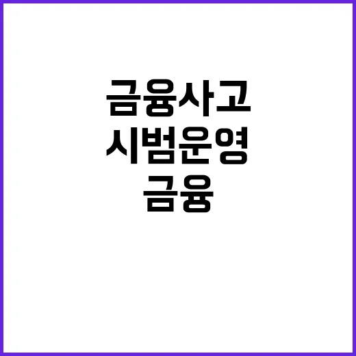 금융사고 방지 18…