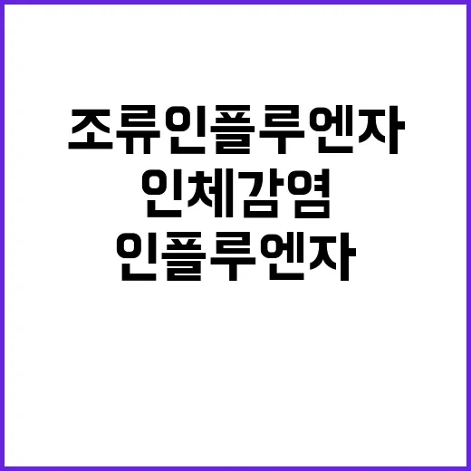 조류인플루엔자 인체…