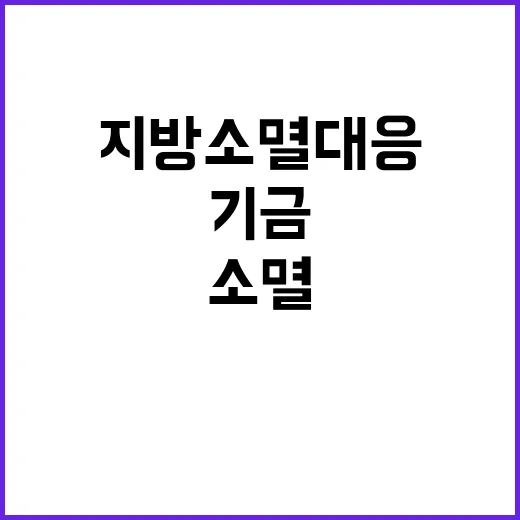 기금 지방소멸대응으…