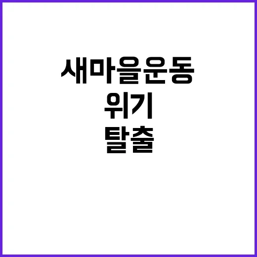 “새마을운동 정신 …