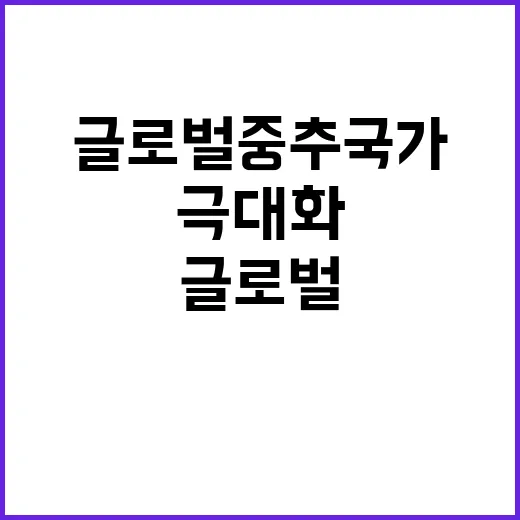 글로벌 중추국가 이…