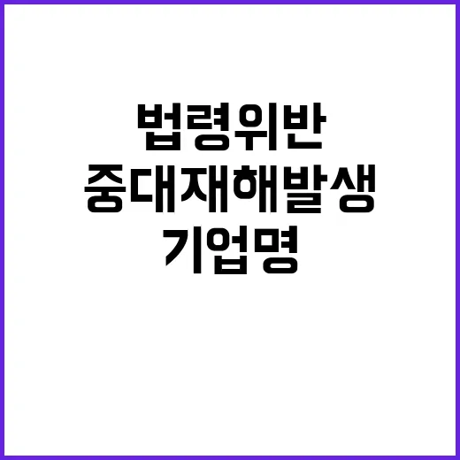 법령 위반 기업명 …