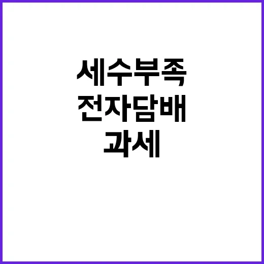 세수부족? 기재부 …