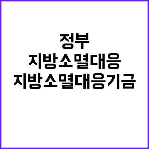 지방소멸대응기금 정…