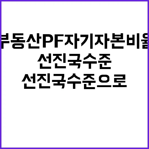 부동산 PF 자기자…