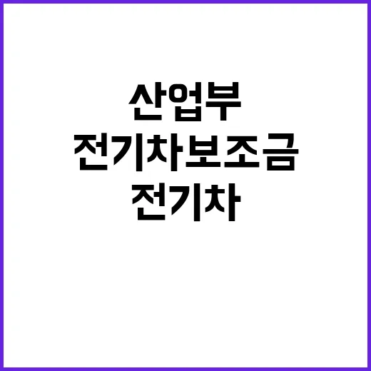 전기차 보조금 산업…