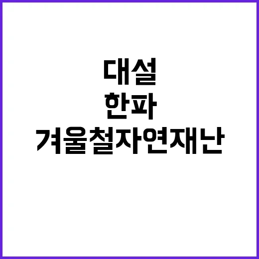 겨울철 자연재난 대…