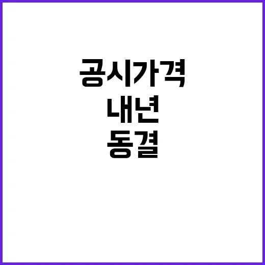 공시가격 동결 내년…