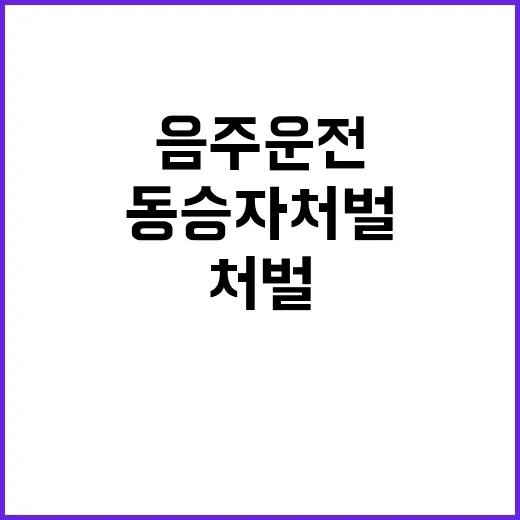 음주운전 처벌 조치…