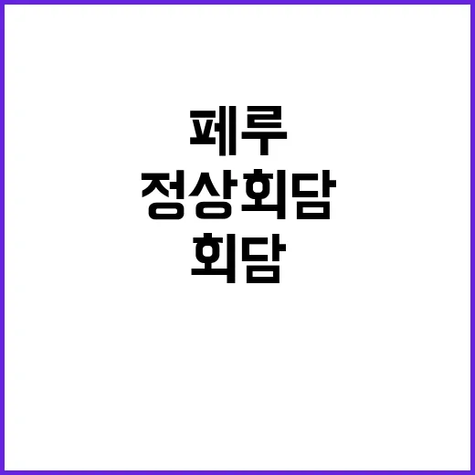 한·페루 정상회담 …