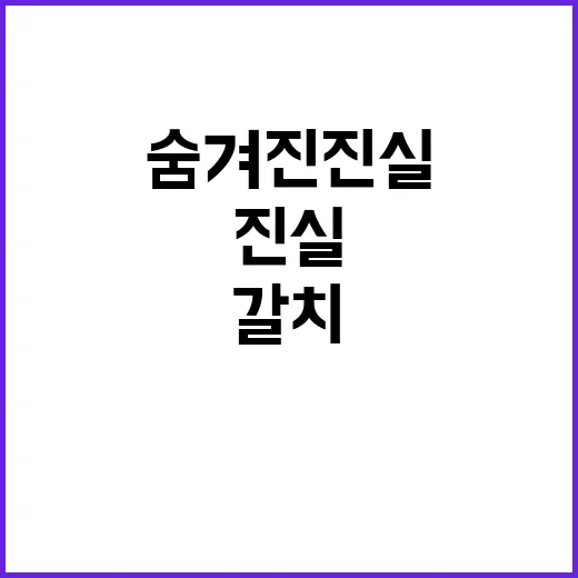 갈치 가격 소비자 …