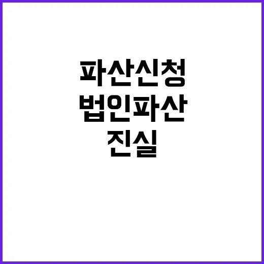 법인 파산 신청 감…