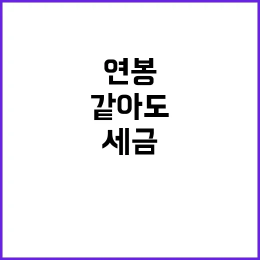 세금 연봉 같아도 …