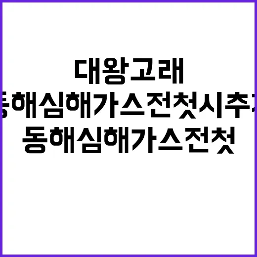 대왕고래 구조 동해…