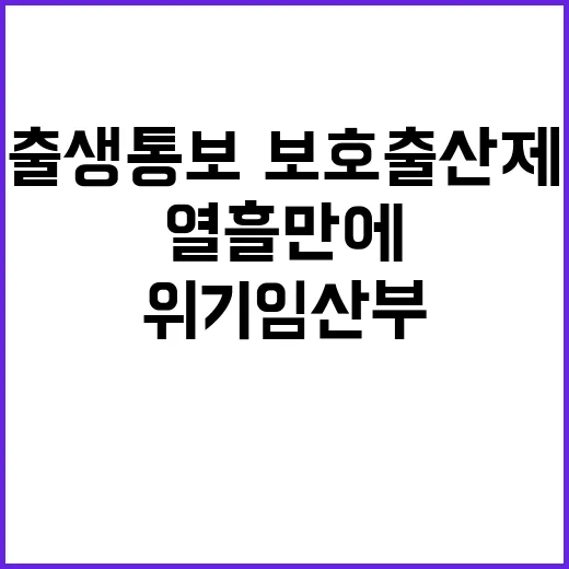 위기임산부 지원, 출생통보·보호출산제 열흘 만에!