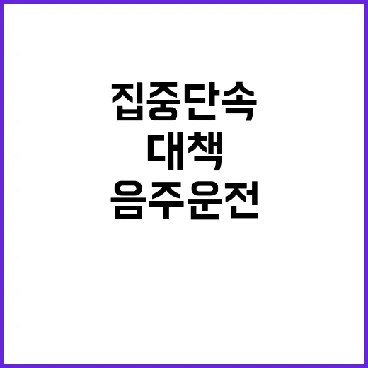 피서지 집중 단속, 음주운전 억제 위한 대책!