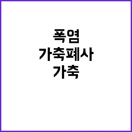 폭염, 가축 폐사 막기 위한 대응반 가동!