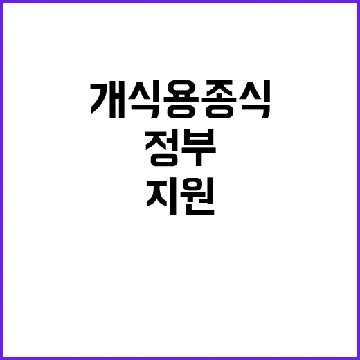 개식용종식법, 정부 지원으로 새로운 시작!