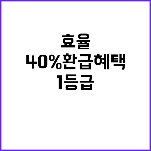 에너지 효율 1등급…