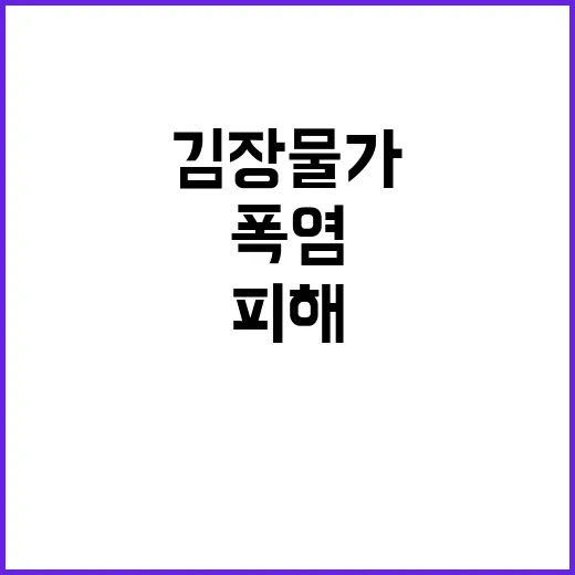 김장물가, 폭염 피해 최소화 노력 중