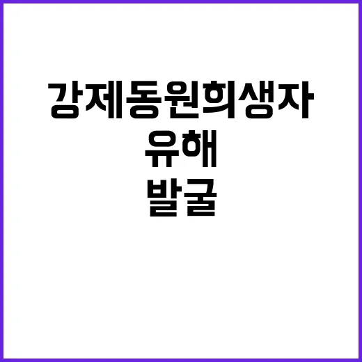 강제동원 희생자 유해 한·미 협력으로 발굴!