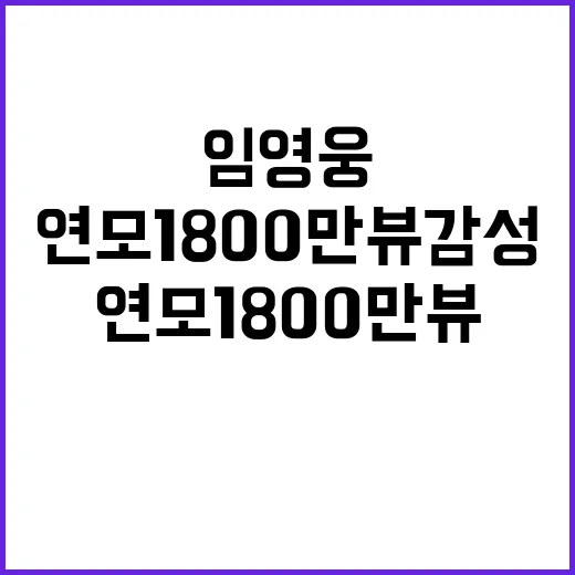 임영웅 연모 1800만뷰 감성의 새로운 기적!