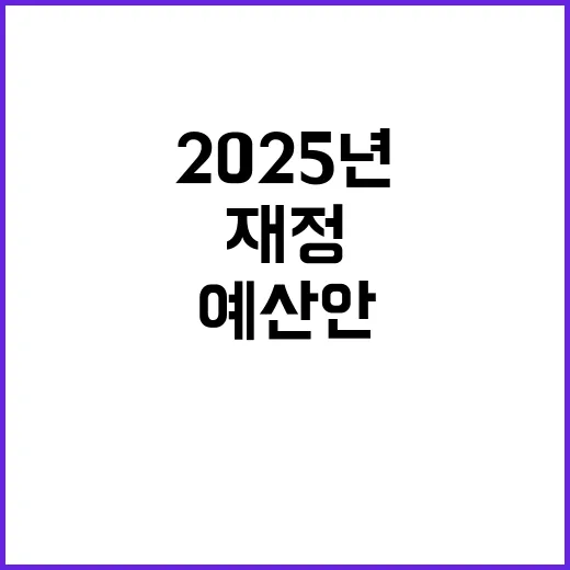 예산안 결정 미비 2025년 재정 불안 요소!